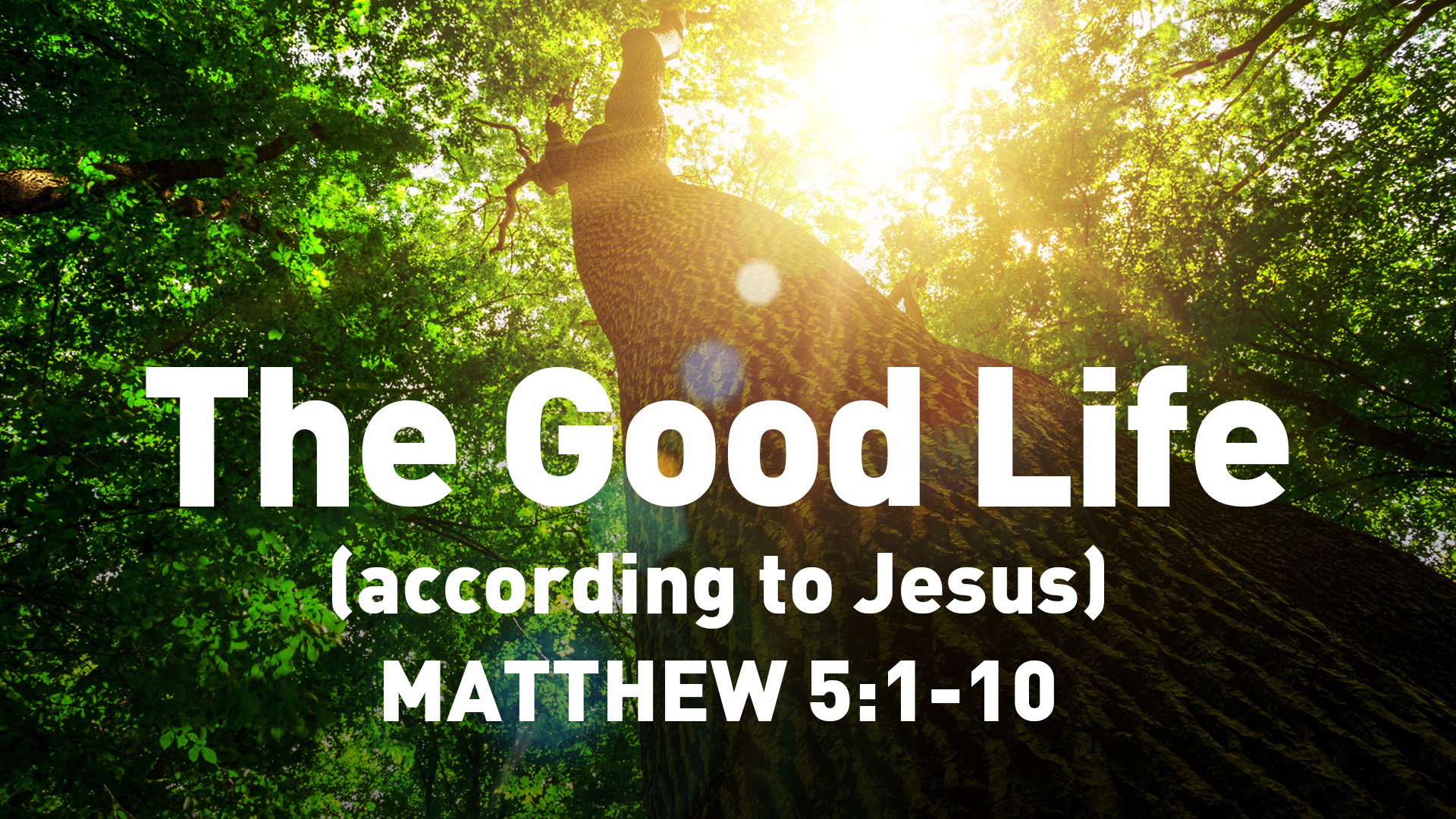 the-good-life