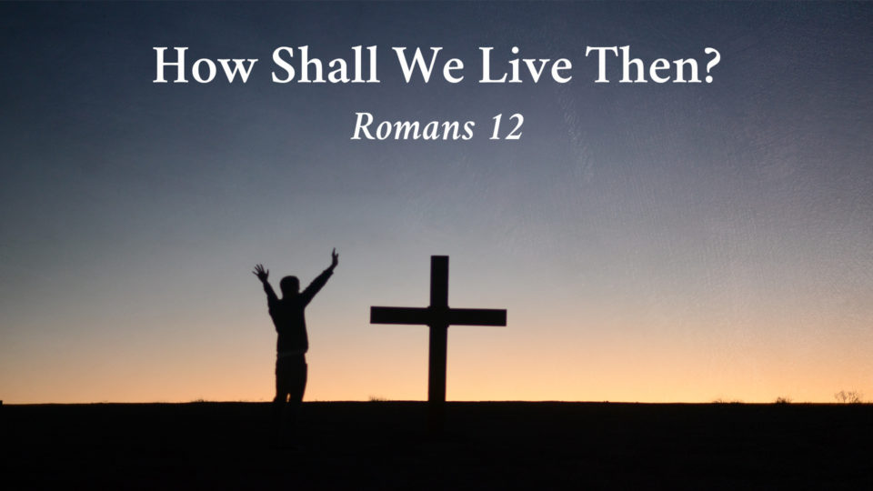 december-29-screen-2