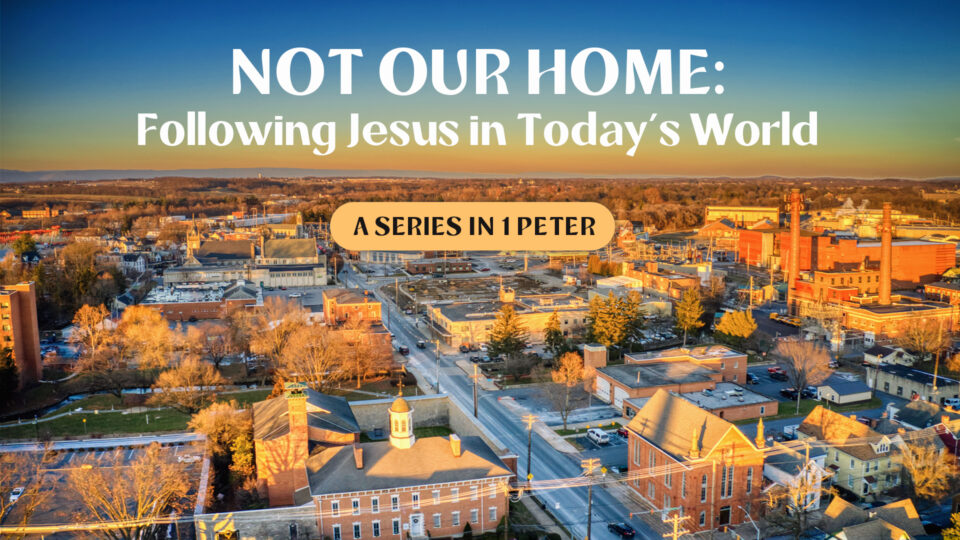 1-peter-series-graphic
