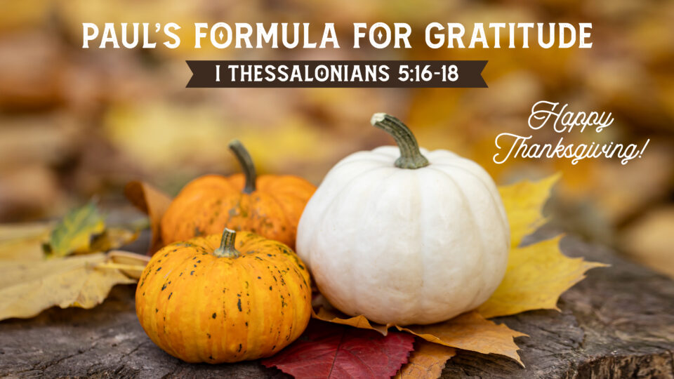 november-24-title